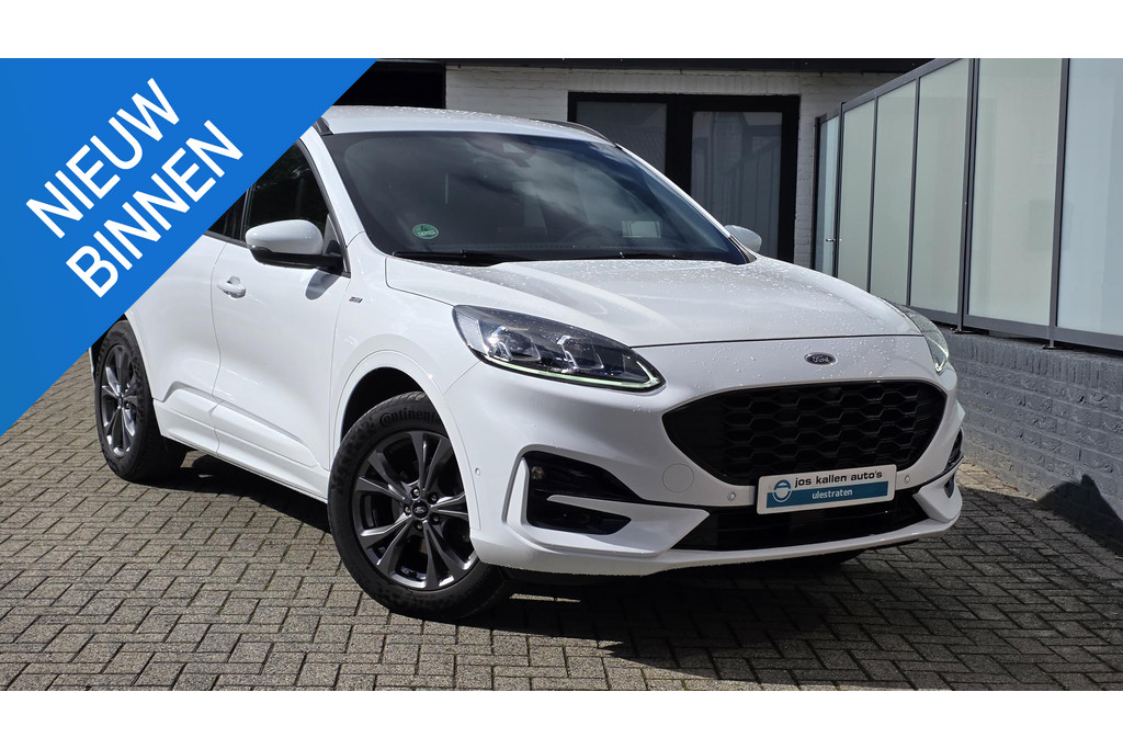 56967390